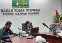 Capai 6,58 Persen, Ini Komoditas Penyumbang Inflasi di Sultra