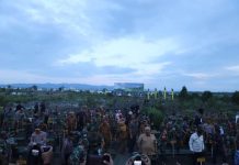 Gubernur Sultra dan Pangdam XIV/Hasanuddin Tanam Mangrove di Teluk Kendari