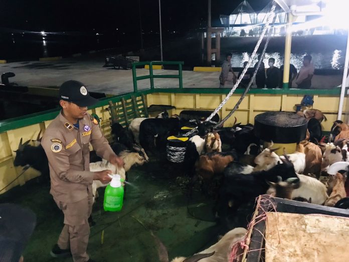 Karantina Pertanian Kendari