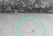 Hendak Memancing, Warga Kendari Temukan Mayat Terbawa Arus Sungai