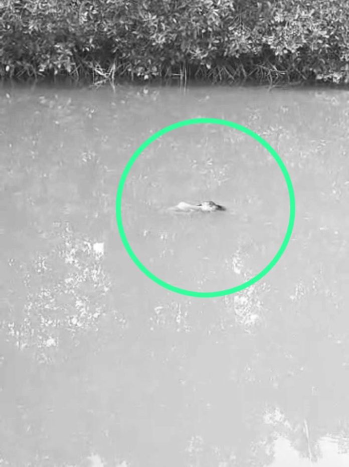 Sosok mayat terapung di belakang Rumah Makan Sarapo