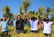 Cerita Petani Organik Binaan PT Vale: 11 Kali Panen, Hasil Makin Melimpah