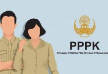 Kuota PPPK di Sultra Tahun Ini Sebanyak 4.503, Ini rinciannya