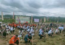 Basarnas Kendari Ikut Aksi Penanaman Mangrove