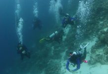 Wabup Wakatobi Tutup Pelatihan Selam, 15 Peserta Dinyatakan Lulus