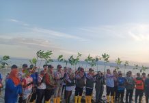 BNPB RI dan Pemprov Sultra Tanam 7 Ribu Pohon Mangrove di Konawe
