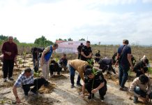 Polda Sultra Bersama Jurnalis Tanam Bibit Mangrove di Teluk Kendari