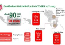 Inflasi di Sultra Menurun