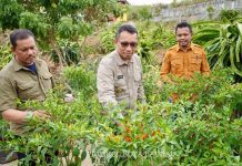 Pj Wali Kota Baubau : Orang Pertanian Harus Jadi “Kopassus”