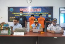 Ganja 2 Kilogram Masuk Baubau, BNN Amankan Dua Pemuda