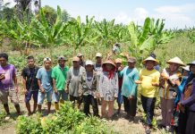 Calon Bupati Darwin: Keluhan Petani Mubar Masuk Program Unggulan