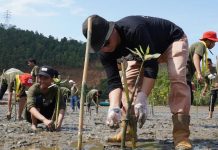 PT Ceria Bersama KNPI Wolo Bersihkan Pantai dan Tanam Mangrove