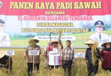 Panen Raya Padi Sawah, Ini Pesan Pj Gubernur Sultra