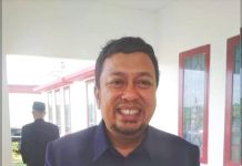 Pemkot Baubau Diminta Identifikasi Pohon Lapuk dan Ditebang