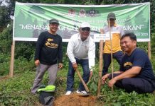 KAGAMA Sultra Tanam 250 Bibit Pohon Multiguna