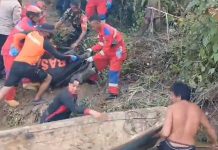 Seorang Wanita di Konsel Ditemukan Tewas Diduga Diterkam Buaya