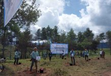 PT Vale Rehabilitasi DAS di Tana Toraja, Tanam 424 Ribu Bibit