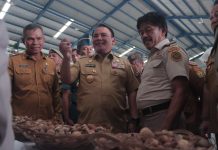 Perdana Ekspor Biji Pinang, Pj Gubernur Sultra Harap Menjadi Stimulan untuk Meningkatkan Produktivitas Subsektor Perkebunan