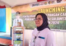 Bulog Pastikan Ketersediaan Stok Beras, Gula, dan Minyak Goreng Aman Hingga Bulan Puasa