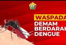 Pj Gubernur Sultra Imbau Masyarakat Waspada Penyakit DBD