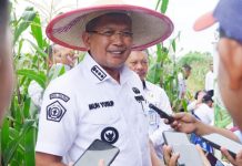 Panen Jagung, Muhammad Yusup: Upaya Pemerintah Dalam Mengendalikan Inflasi