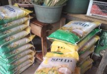 TPID Sultra Sidak Tiga Pasar, Stok Beras SPHP Aman