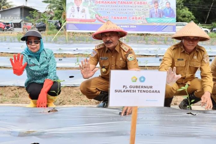 Plh Sekda La Ode Fasikin bersama Pj Ketua TP PKK Sultra, Wa Ode Munanah Asrun Lio, hadir dalam kegiatan Gerakan Tanam Cabe PKK serentak dalam rangka peringatan Hari Kesatuan Gerak Pemberdayaan dan Kesejahteraan Keluarga (HKG-PKK) ke-52 tahun, Senin 4 Maret 2024.