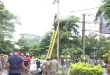 Lapak Pedagang di Eks MTQ Disegel, Arus Listrik Diputus