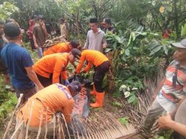 Perempuan Lansia di Kolaka Timur Ditemukan Meninggal di Kebun Coklat