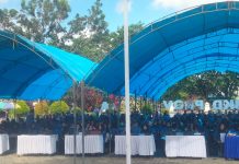 7.497 Kuota CPNS dan PPPK di Sultra Disediakan, Jadwal Seleksi Tunggu Arahan Kemenpan-RB