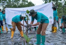 Peringati Hari Lingkungan Hidup Sedunia, PT Vale IGP Pomalaa Tanam Ribuan Bibit Bakau