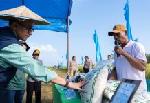 Berkah SRI Organik, Hasil Petani Kolaka Binaaan PT Vale IGP Pomalaa Melimpah