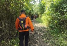 Nenek Samria Belum Ditemukan, Tim SAR Perluas Wilayah Pencarian