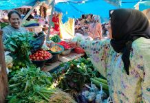 Blusukan di Pasar Rakyat Mekongga, Tina Nur Alam Berdayakan Pedagang