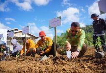 Pj Wali Kota Baubau Tanam Cabai untuk Kendalikan Inflasi