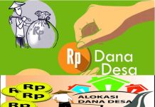 Realisasi Dana Desa di Sultra Capai Rp1,3 Triliun, Tujuh Daerah Rampungkan Penyaluran Tahap II