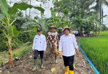 Sekda Sultra Dampingi Kementerian Pertanian Monitoring PAT dan Pompanisasi di Kolaka Timur