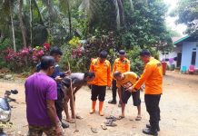 Lansia Dilaporkan Hilang di Perkebunan Kelapa Sawit Langkikima