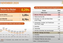 Inflasi Sultra November 2024 Terkendali, Lebih Rendah dari Angka Nasional