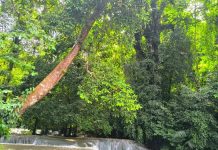 Pesona Tersembunyi Kabura Burana, Surga Permandian Alam di Buton Selatan