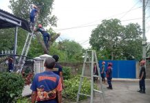 BPBD, Damkar dan DLH Kolaborasi Atasi Pohon Tumbang di Baubau