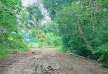 Akses Jalan Menuju SLB Amal Al Hazi Mubar Butuh Perhatian Pemerintah