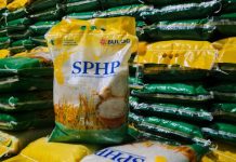 17 Ribu Ton Beras Tersedia di Bulog Sultra, Aman Hingga Bulan Juni 2025
