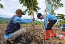 Gubernur Sultra Luncurkan Program Agroforestry di Desa Puuhopa Konawe, Tingkatkan Ketahanan Pangan dan Kelestarian Lingkungan