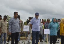 Quick Win 100 Hari Kerja, Yusran-Hamsinah Pacu Kemandirian Pangan Melalui Gerakan Tanam Cabai