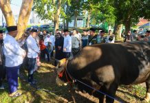 Gubernur Sultra Shalat Bersama Rakyat dan Serahkan Hewan Kurban di Masjid Raya Al-Kautsar