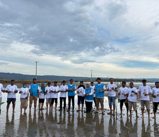 Hijaukan Pesisir, PLTMG Baubau Tanam 550 Bibit Mangrove di Lowu-Lowu dan Kolese