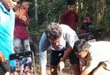 Ular Piton Sepanjang 8 Meter Telan Lansia di Buton Selatan