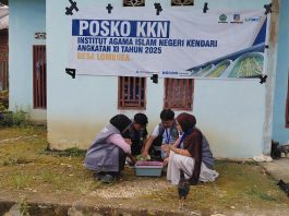 Atasi Dampak Inflasi, Mahasiswa KKN IAIN Kendari Kembangkan Urban Farming Bawang Merah di Kecamatan Moramo Utara