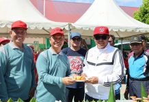 HUT Ke-63 SMANSA Kendari, Ribuan Alumni Reuni di Jalan Santai